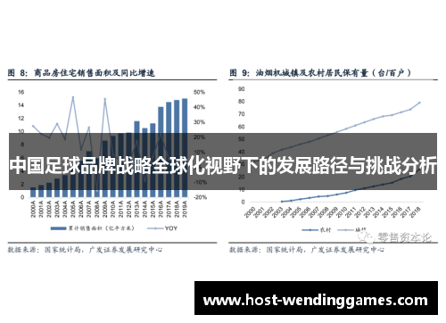 中国足球品牌战略全球化视野下的发展路径与挑战分析